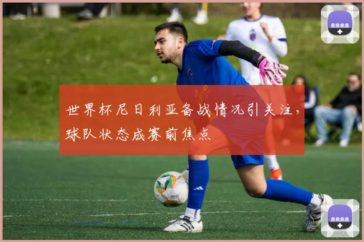 世界杯尼日利亚备战情况引关注，球队状态成赛前焦点
